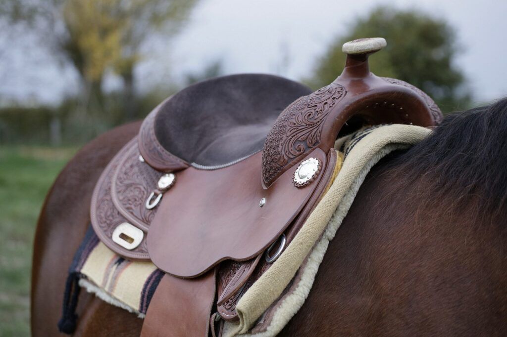 horse, saddle, western film