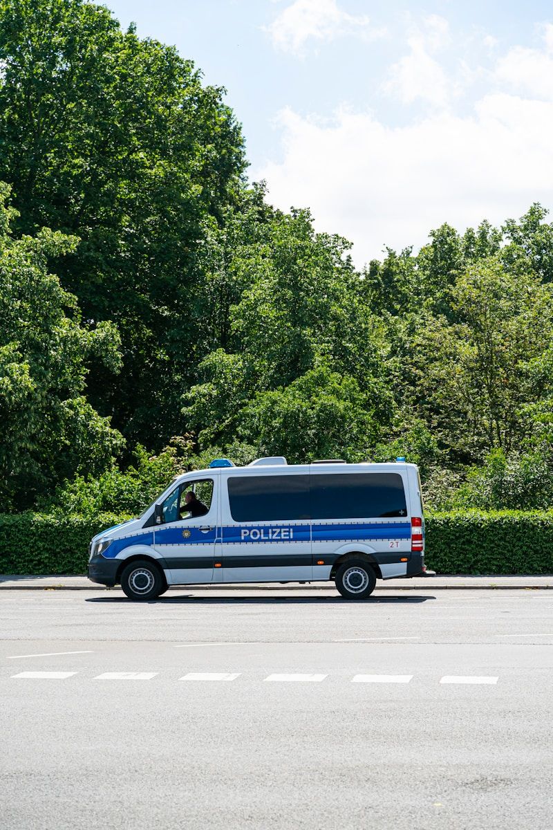 blue and white van on road near green trees during daytime